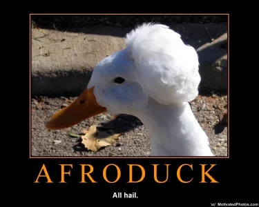 633499544400676416-afroduck.webp