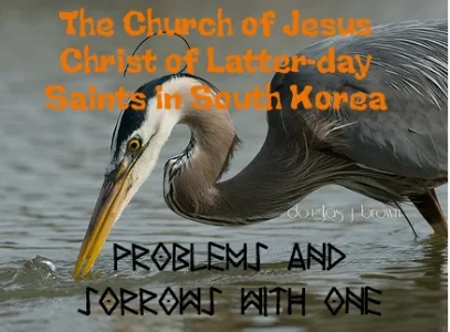 Untitled-1 copy.webp