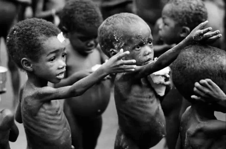 starvation.webp