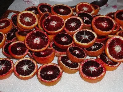 bloodrose.webp