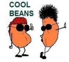 cool_beans.webp