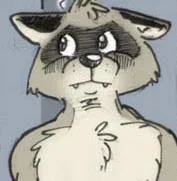 coon1.webp