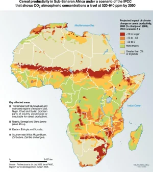 0406-africa-cereal-EN.webp