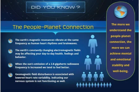Did you know we are connected to the sun.webp Did you know we are connected to the sun.webp