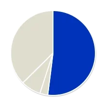 piechart-0uz2jHkI.webp