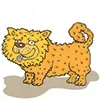 chow-chow.webp