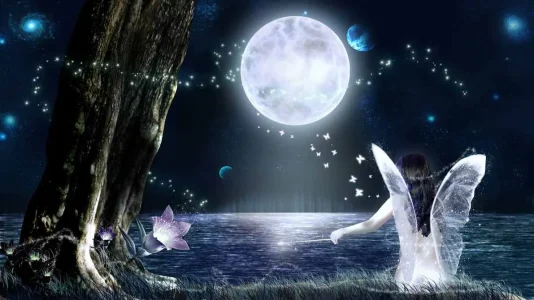 Fairy1.1.webp
