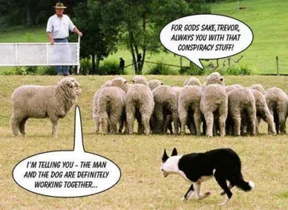 sheep_dog_working_with_Da_Man.webp