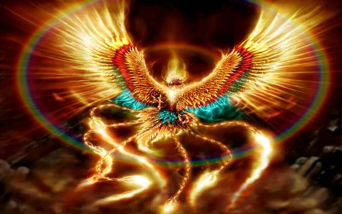 phoenix212.webp
