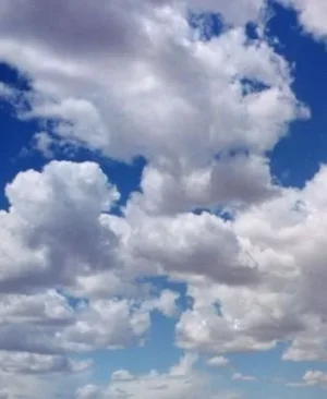 13385310357119906775.jpeg___1_500_1_500_cb94de6a_.webp 13385310357119906775.jpeg___1_500_1_500_cb94de6a_.webp