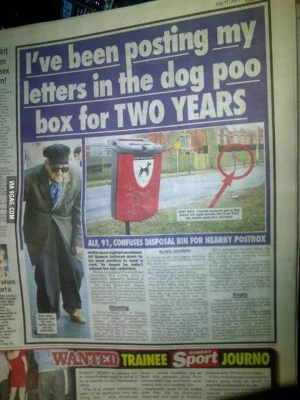 dogpoobox.webp