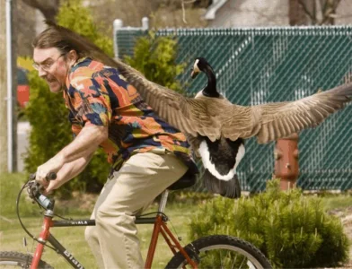 attack goose.webp