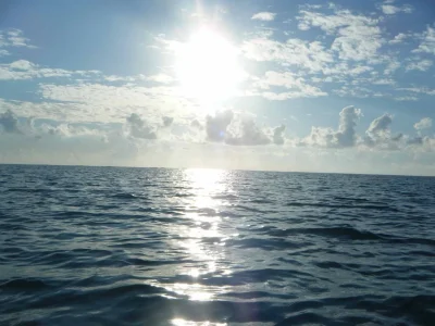 DSCF0567.webp