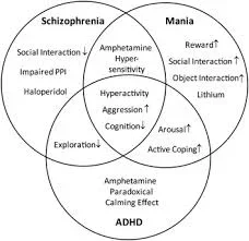 venn.webp