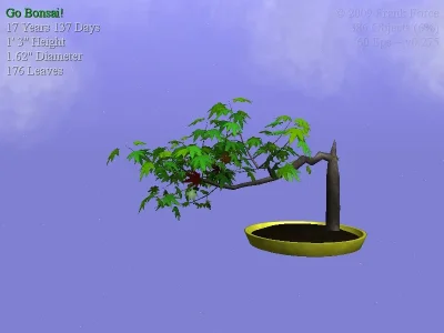 Bonsai_0009.webp