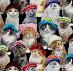 image.webp