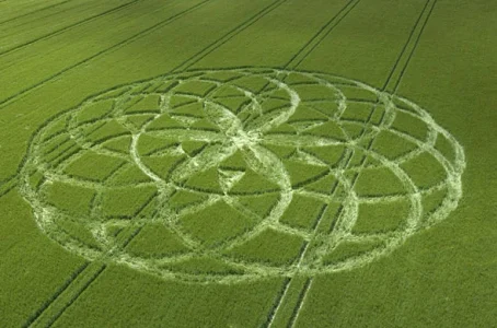 crop-circle-010.webp