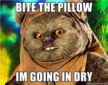 Bite-The-Pillow.webp