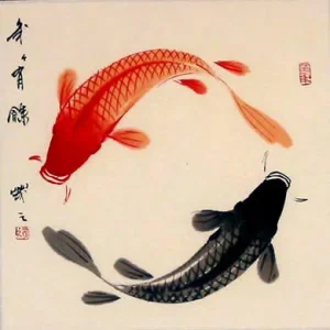 yin.yang_.fish_.webp