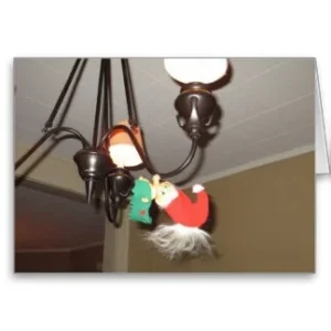 image.webp