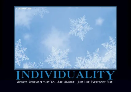 individualitydemotivator.webp