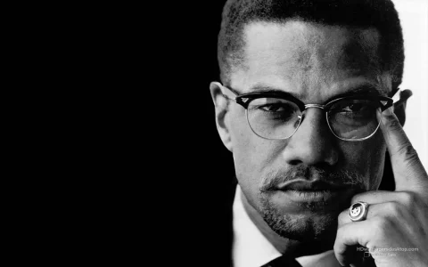 malcolm-x-1.webp