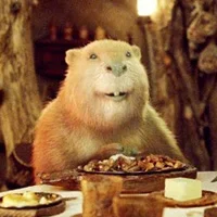 top-5-movie-beavers-20110610032337485.webp top-5-movie-beavers-20110610032337485.webp