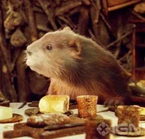 Beaver 2.webp Beaver 2.webp