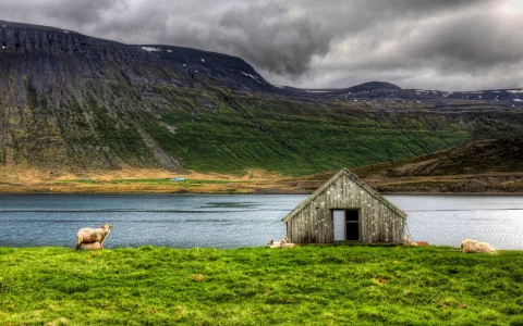 country_valley_mountain_house_river_sheeps_hd-wallpaper-842741.webp