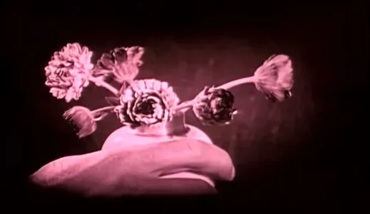 bb_smile_flowers.webp