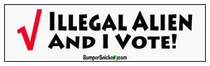 illegal-alien-vote1.webp