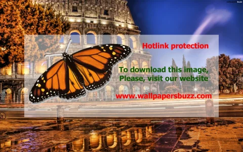 b_roman-coliseum.webp