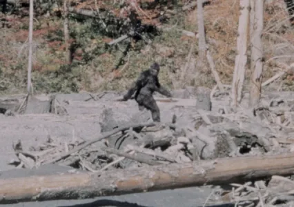 bigfoot-film_fe.webp