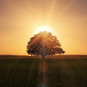 prophet-soul.webp