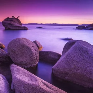 purple.webp