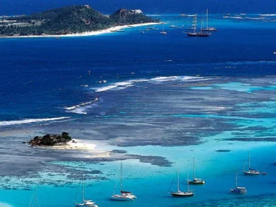image.webp