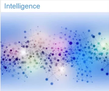 intelligenceUntitled.webp