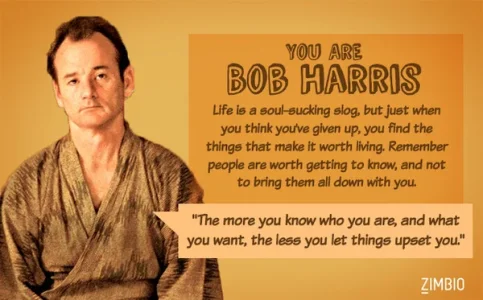 bob.webp
