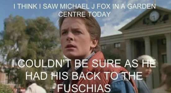Mjfox+courtesy+of+george+takei+oh+my_2e94b1_4460797.webp