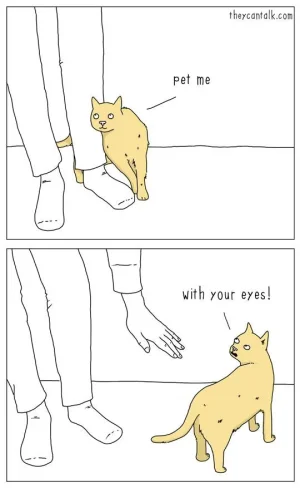 withyoureyes.webp