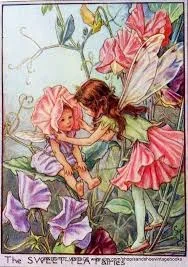 flower fairies of the forest.webp