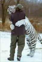 images0MWPRM4A.webp
