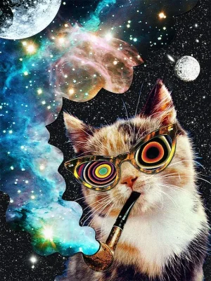 46fd8713160524d0efffffeb56b93540.webp