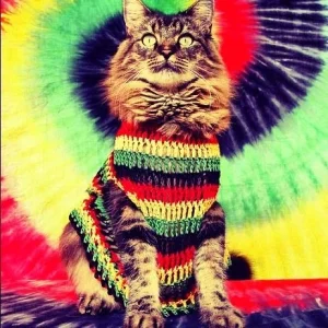 catnip103_zps4c803c41.webp