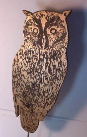owl1.webp