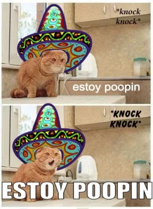 s4ETNGH.webp