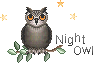 owl-night-a (1).gif