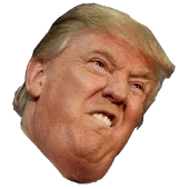 580b57fbd9996e24bc43be64.webp