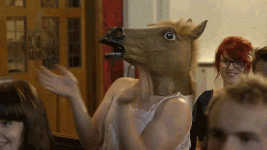 lCWhED6uSiTcIsmGoWJg_Horse Thumbs Up.gif