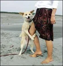 images (18).webp